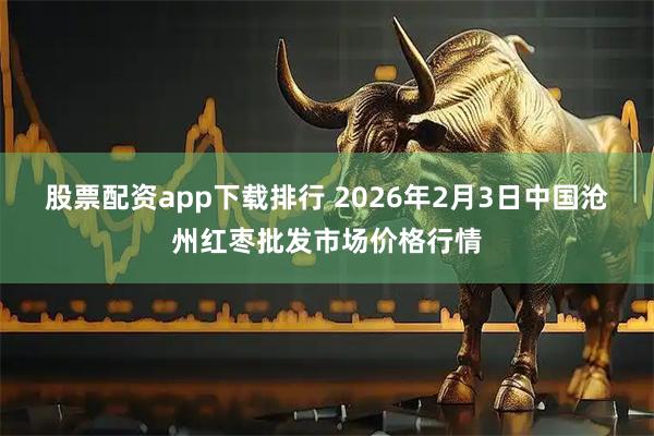 股票配资app下载排行 2026年2月3日中国沧州红枣批发市场价格行情